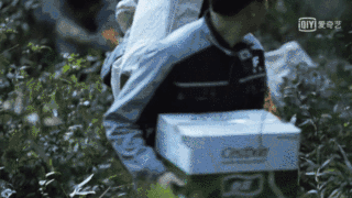image5.gif