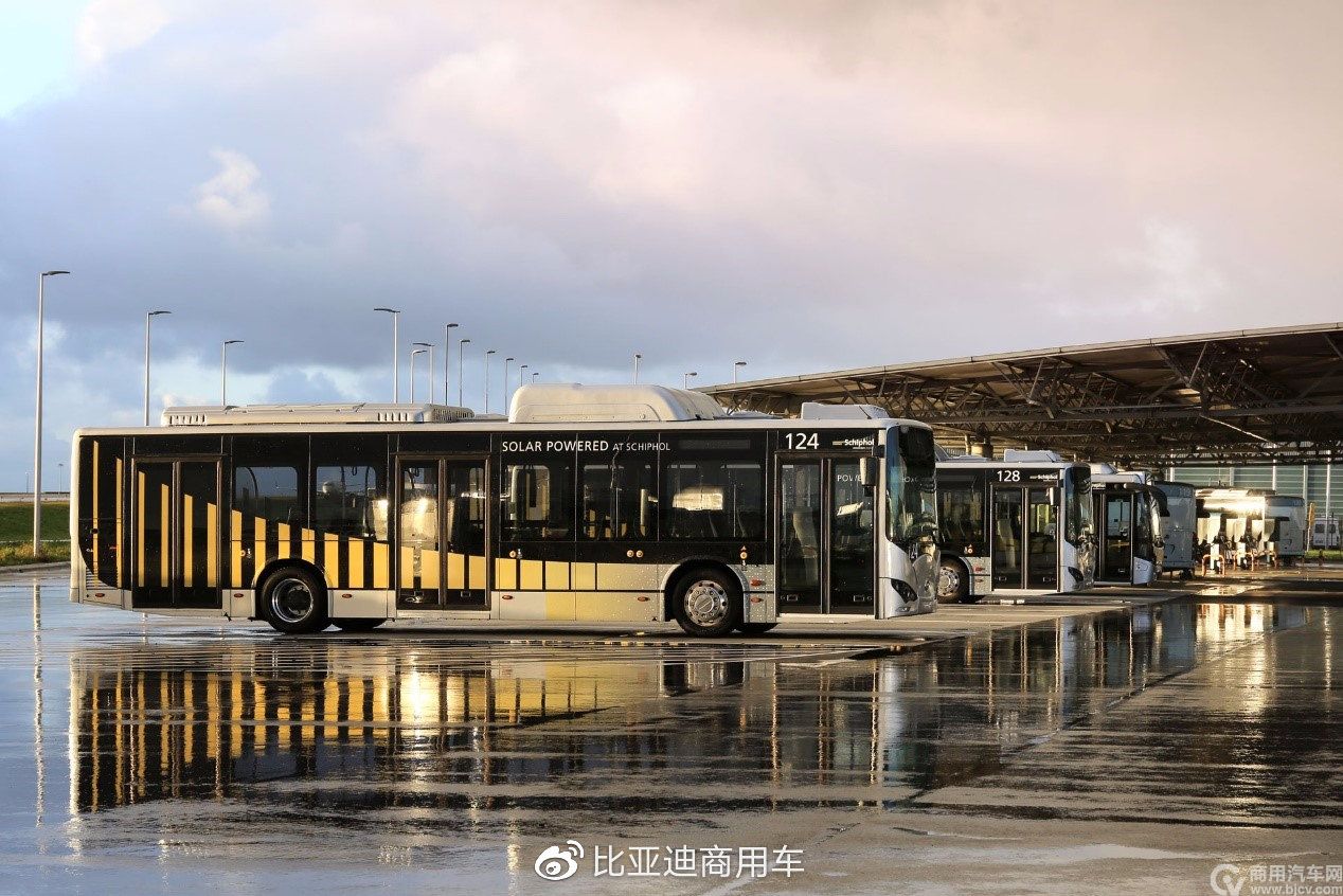 投入荷兰史基浦机场运营的35台比亚迪纯电动大巴